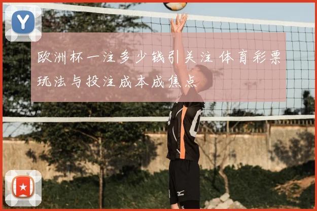 欧洲杯一注多少钱引关注 体育彩票玩法与投注成本成焦点