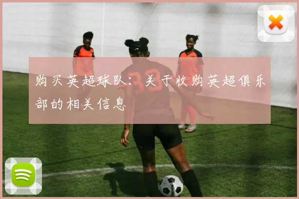 购买英超球队：关于收购英超俱乐部的相关信息