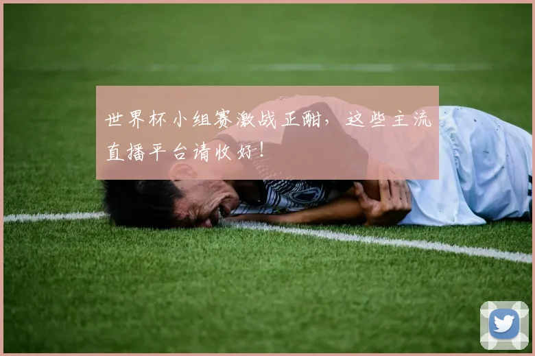 世界杯小组赛激战正酣，这些主流直播平台请收好！