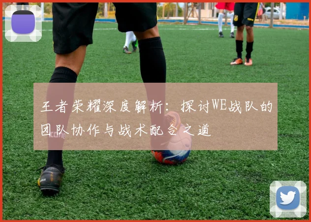王者荣耀深度解析：探讨WE战队的团队协作与战术配合之道