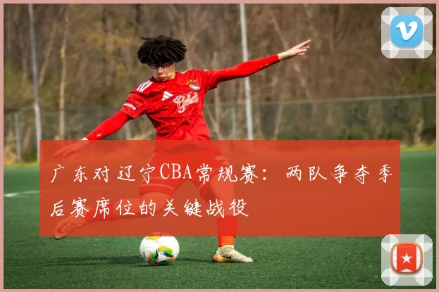 广东对辽宁CBA常规赛：两队争夺季后赛席位的关键战役