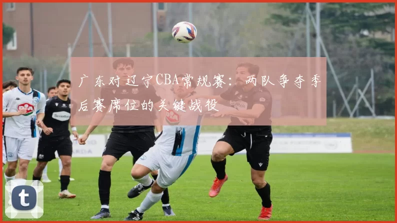 广东对辽宁CBA常规赛：两队争夺季后赛席位的关键战役