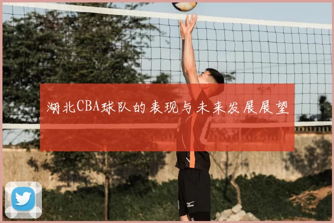 湖北CBA球队的表现与未来发展展望