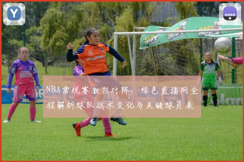 NBA常规赛激烈对阵，绿色直播网全程解析球队战术变化与关键球员表现