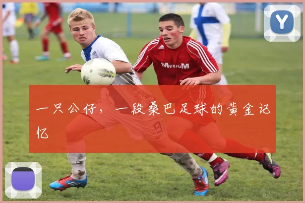 一只公仔，一段桑巴足球的黄金记忆