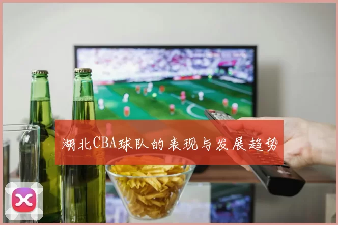 湖北CBA球队的表现与发展趋势