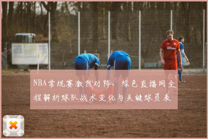 NBA常规赛激烈对阵，绿色直播网全程解析球队战术变化与关键球员表现