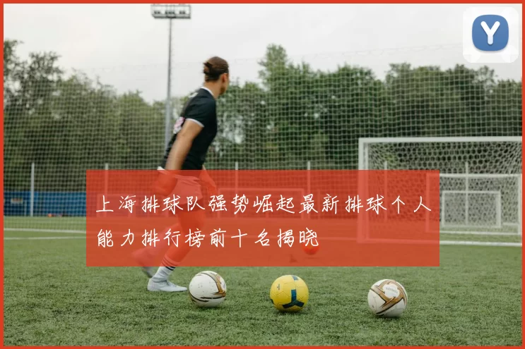 上海排球队强势崛起最新排球个人能力排行榜前十名揭晓