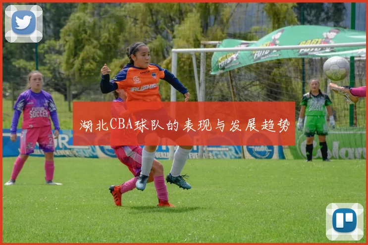 湖北CBA球队的表现与发展趋势