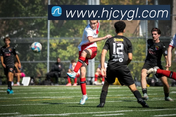 App Interface Preview