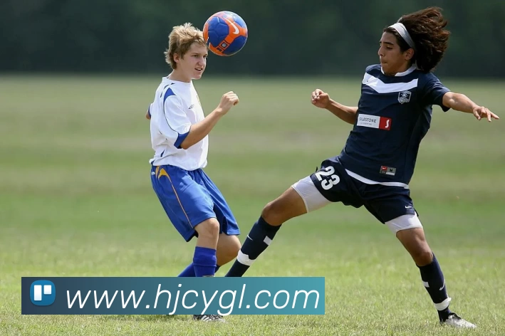 九游会·j9官网APP 封面图